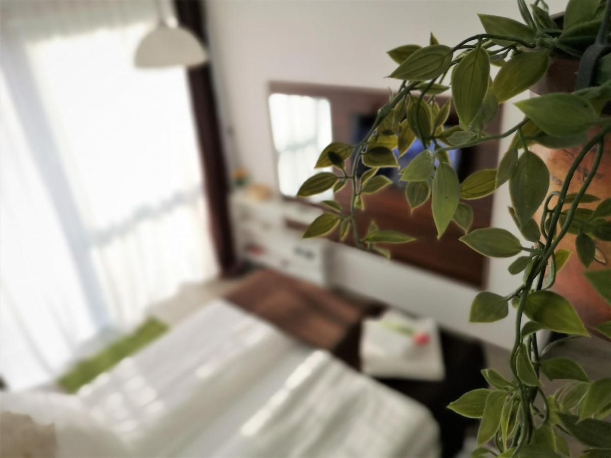 פויאנה ברשוב The Evergreen Nest - Silver Mountain מראה חיצוני תמונה